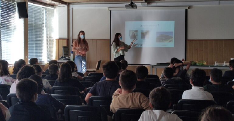 Células Estaminais 1