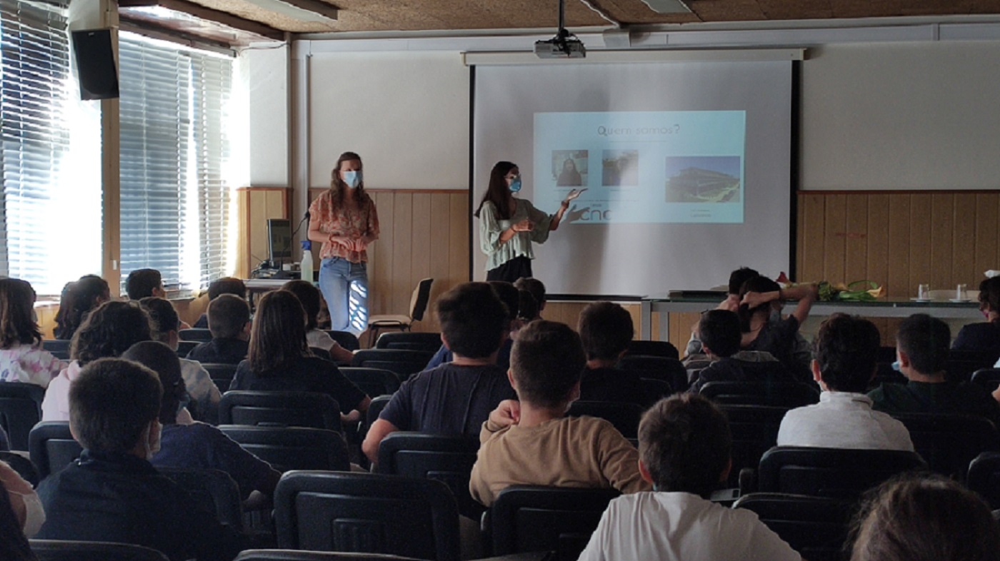 Células Estaminais 1