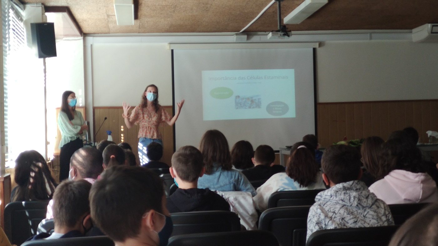 Células Estaminais 2