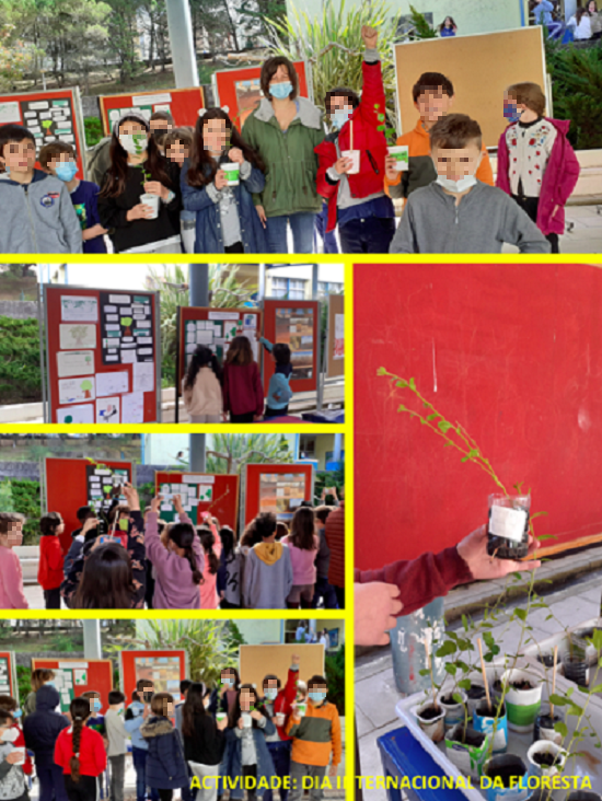 DIA INTERNACIONAL FLORESTA 1