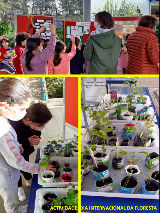 DIA INTERNACIONAL FLORESTA 2