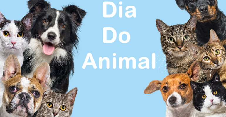 dia do animal