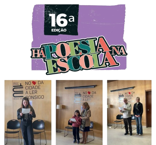 IMG 1762 removebg preview